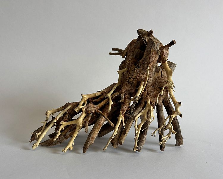 Octopus Wood - Approximately 15-18cm x 20-22cm #OW1